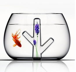 創意桌面魚缸 辦公桌上的靈動風景，為生活增添一抹治愈樂趣